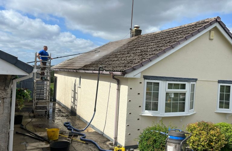 WhatsApp Image 2025-01-20 at 18.51.45