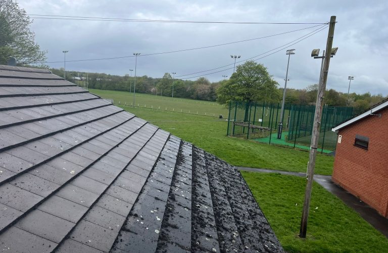 WhatsApp Image 2025-01-20 at 18.51.46