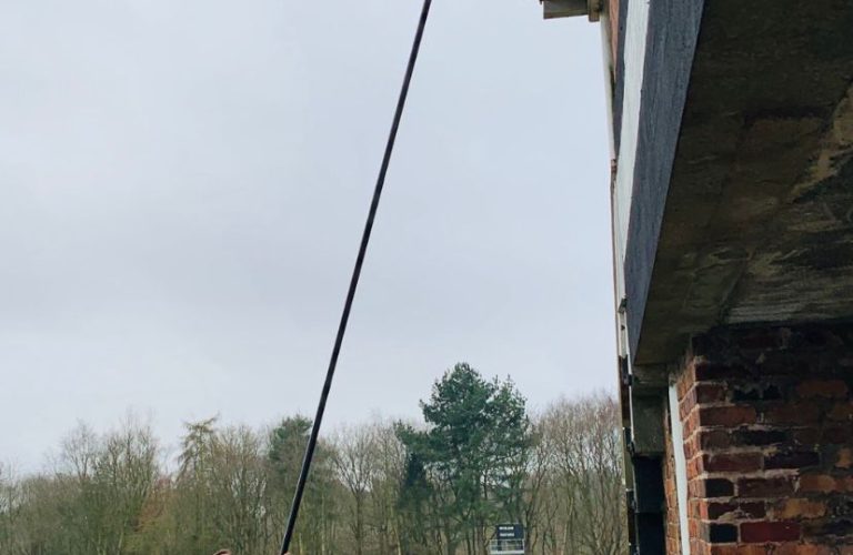 WhatsApp Image 2025-01-20 at 19.05.07