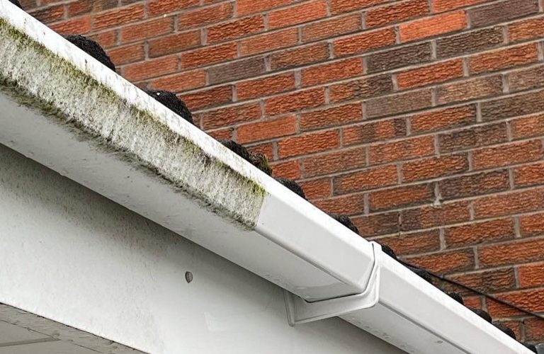 WhatsApp Image 2025-01-20 at 19.08.19